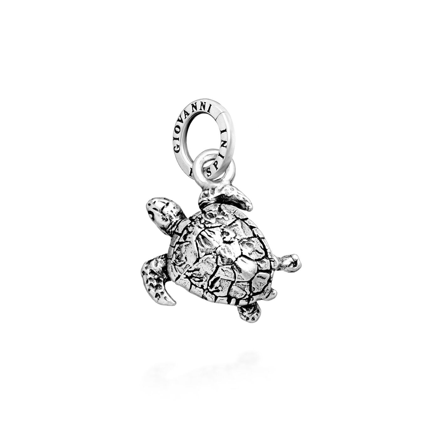 CHARM ANIMALI - GIOVANNI RASPINI