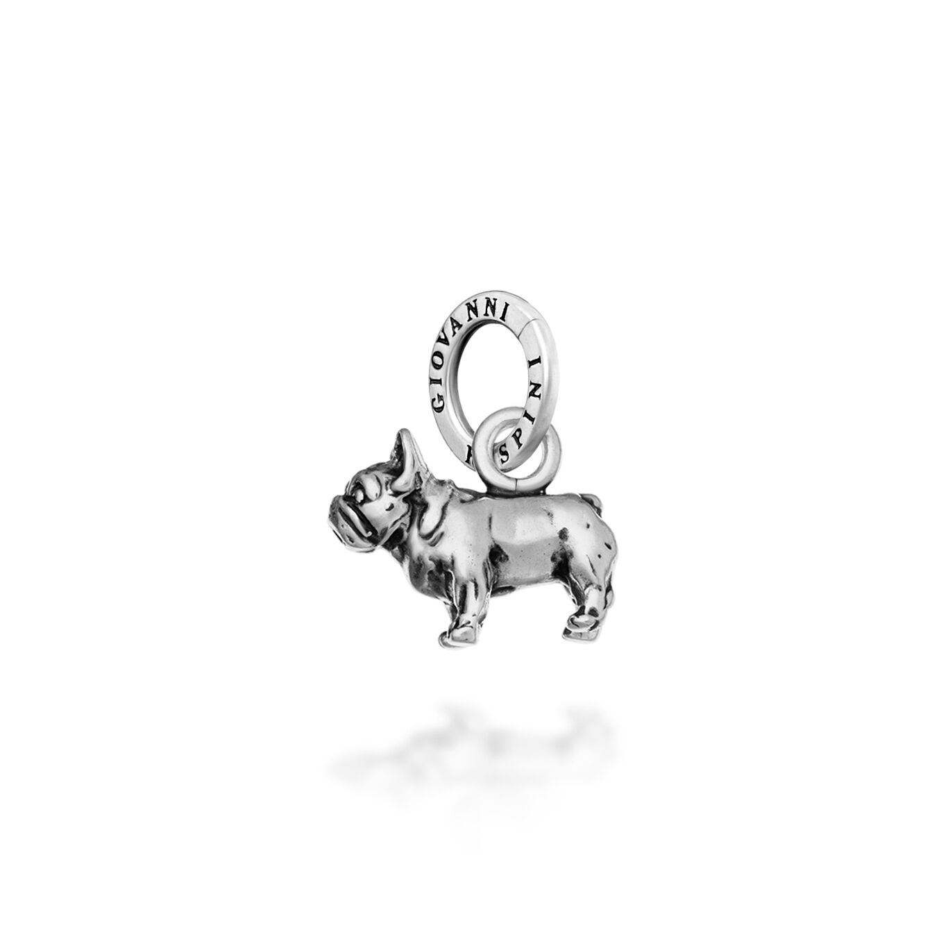 CHARM BULLDOG FRANCESE - GIOVANNI RASPINI