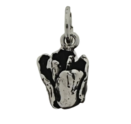 CHARM TULIPANO - GIOVANNI RASPINI