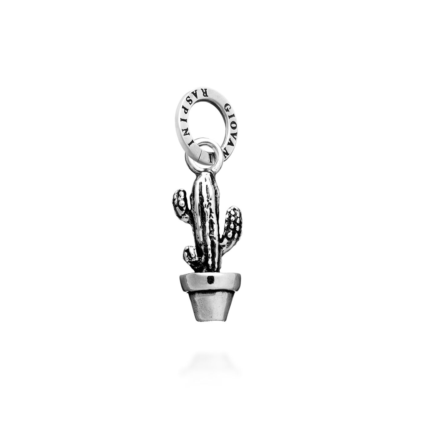 CHARM CACTUS - GIOVANNI RASPINI