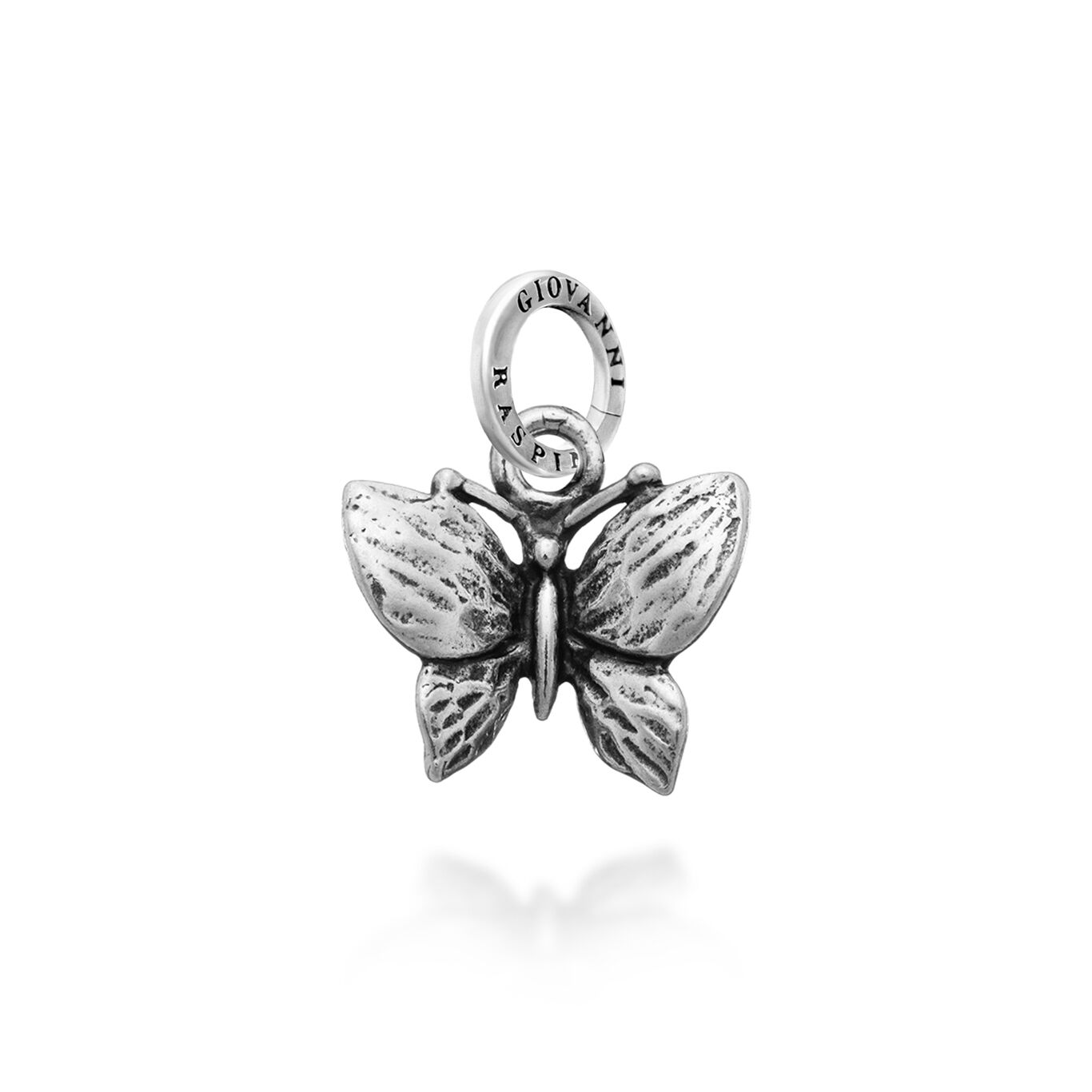 CHARM  ANIMALI - GIOVANNI RASPINI