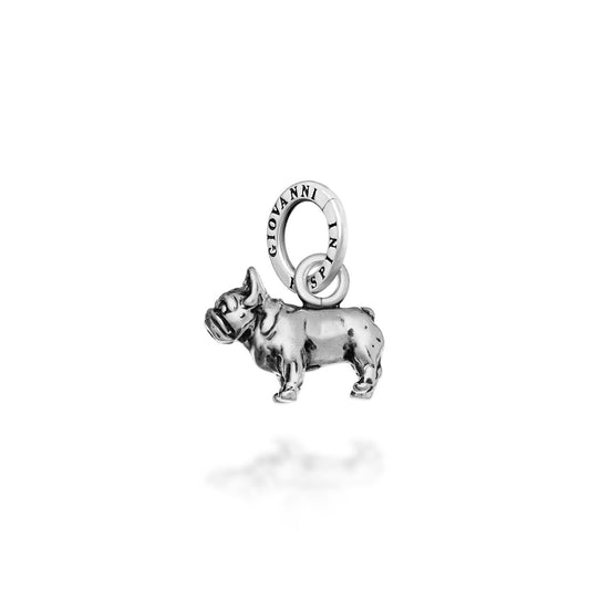 CHARM BULLDOG FRANCESE - GIOVANNI RASPINI
